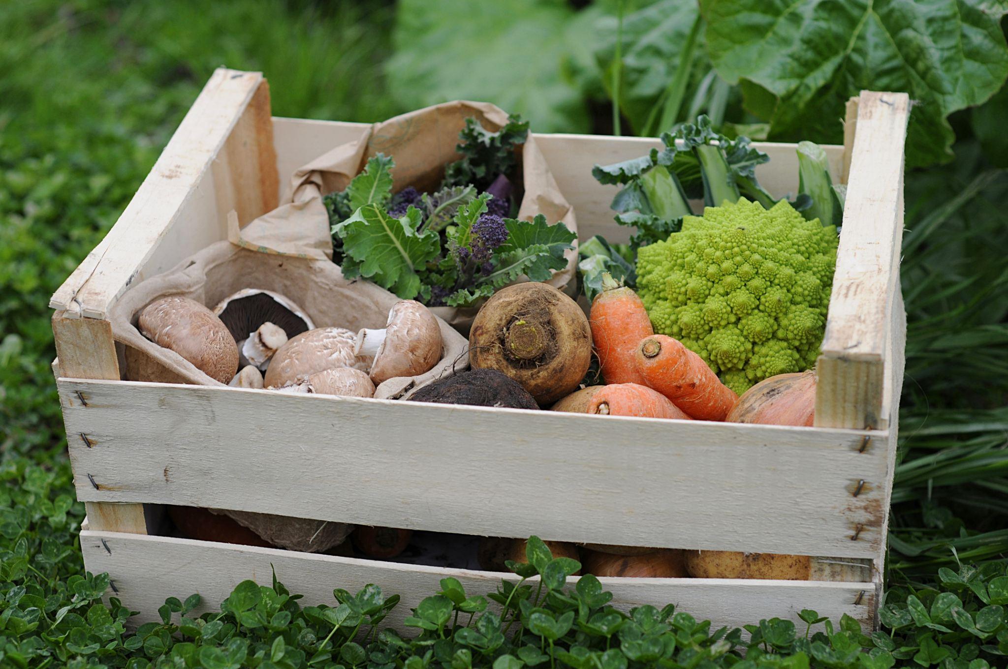 Fresh Produce